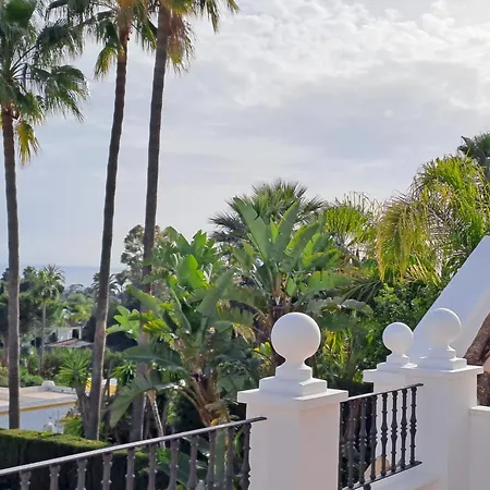 Noctua Luxury Paraiso 001 Εστεπόνα